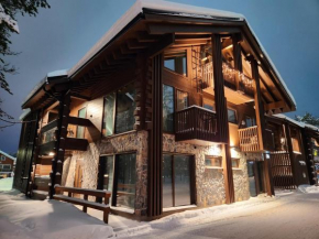 Levi Platinum Superior Apartments